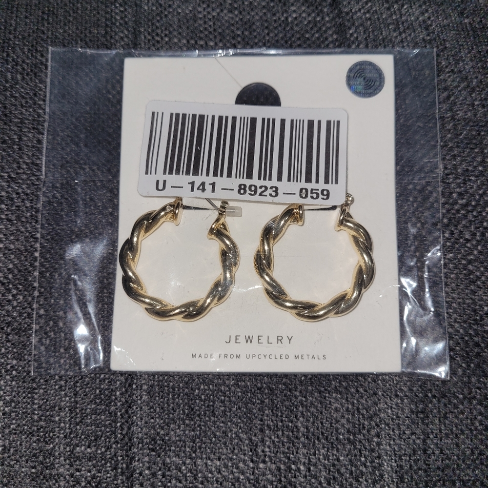 Earrings NWT